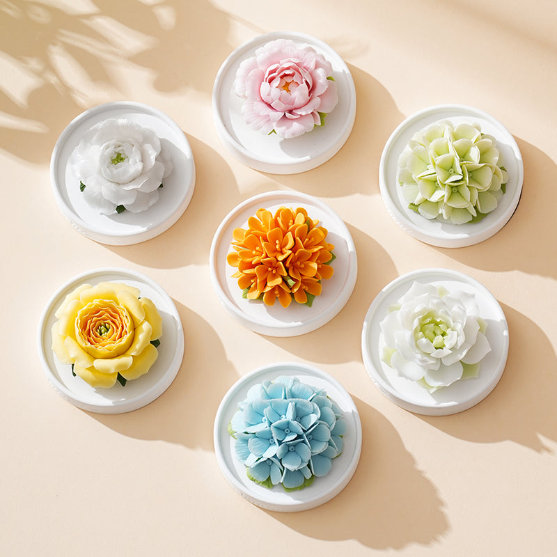 Essential Oil Set