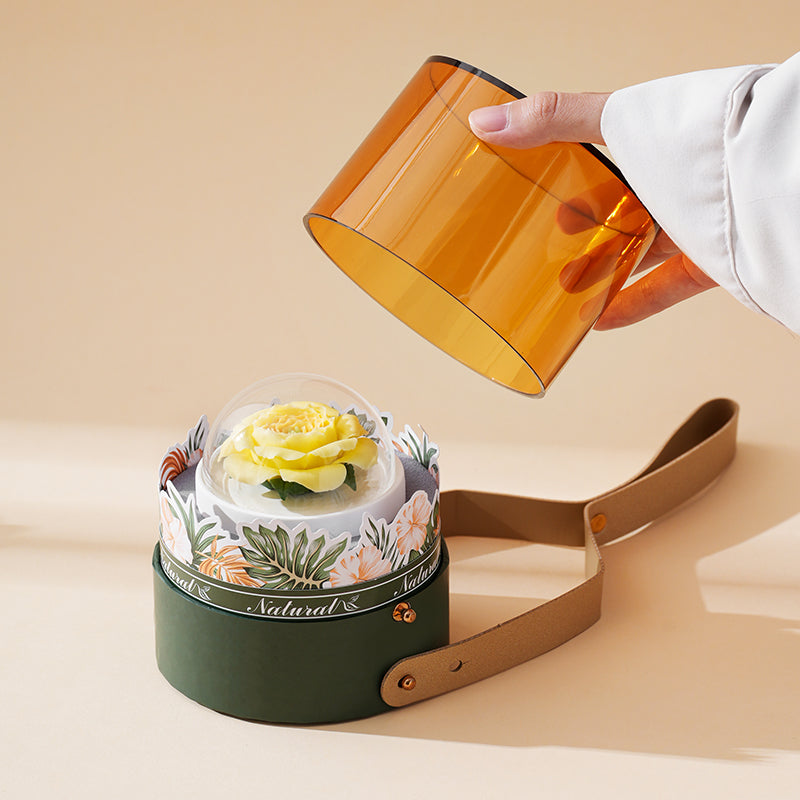 Essential Oil Set